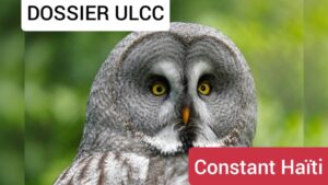 Rapport ULCC | Dossier BNC – CPT