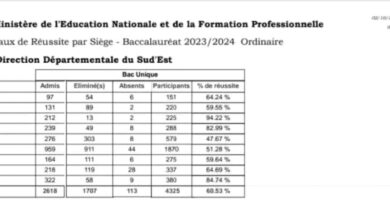 Publication des résultats du bac 2024 pour le Sud-Est et l’Ouest