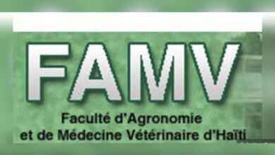 Éducation : La FAMV célèbre un siècle d'existence, des festivités en préparation