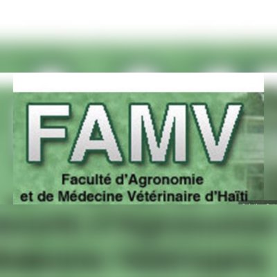 Éducation : La FAMV célèbre un siècle d'existence, des festivités en préparation