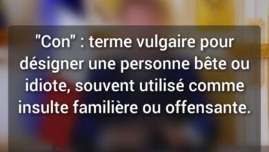 Le Mot "Con" : Signification, Usage et Contexte