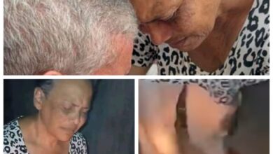 Gridart 20250119 202459142