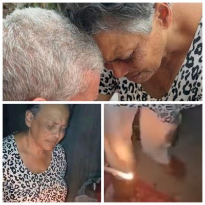 Gridart 20250119 202459142