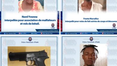 Trois individus interpellés et une arme factice confisquée par la PNH dans le Centre