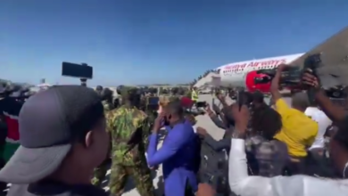 Image Editor Output Image 915609968 1737218204281