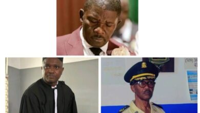 La Délégation, le Parquet, la Police : entre complicité, incompétence ou simple abandon face aux trafics d’organes dans le Nord ?